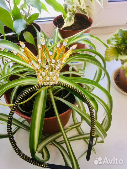 Ободок- корона новогодняя