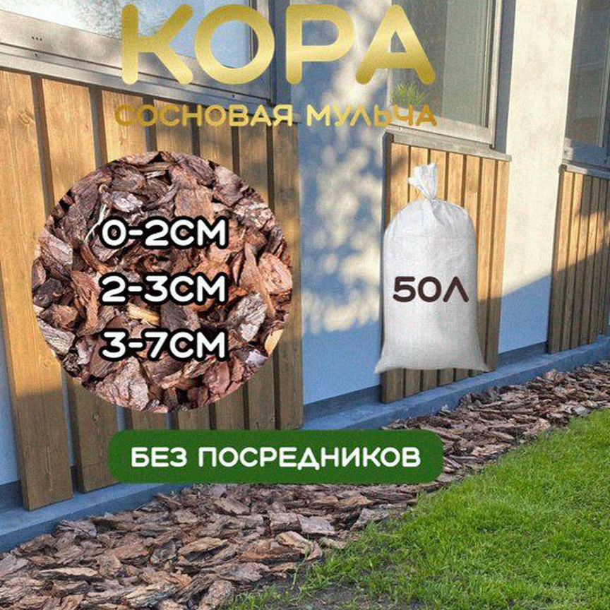 Жезөкшенің кискасын жалайды