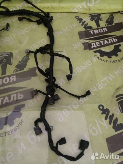 Проводка коса двигателя Infiniti Fx35 S50 S50 3.5