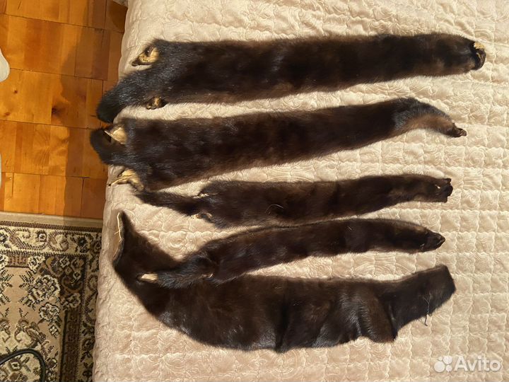 Шкурки норки