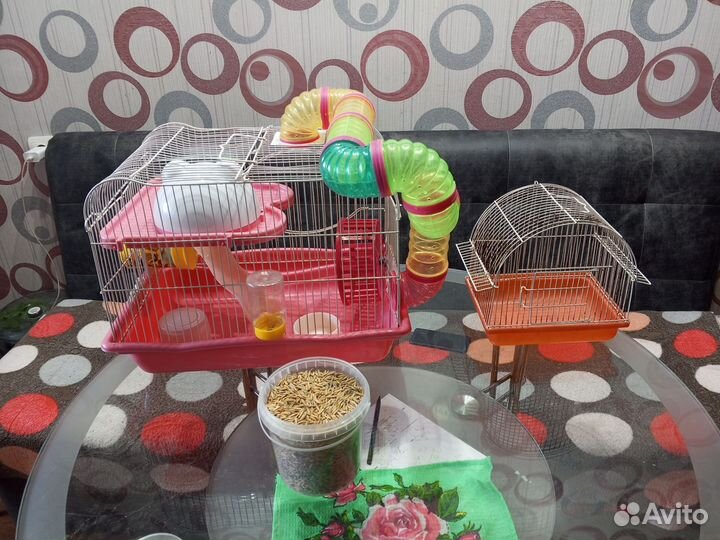 Клетка для хомяка бу