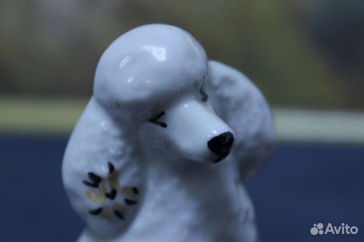 Фарфоровая статуэтка пудель