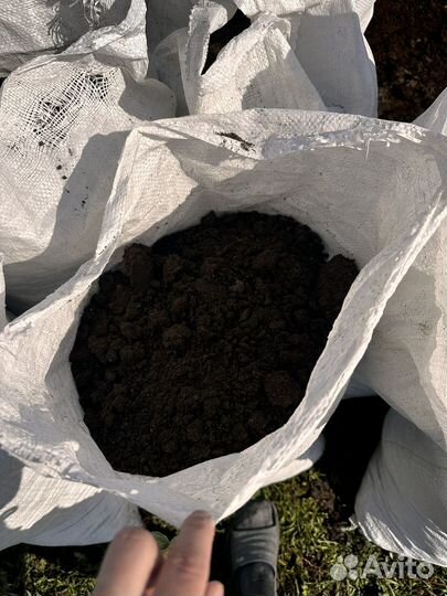 Перегной коровий