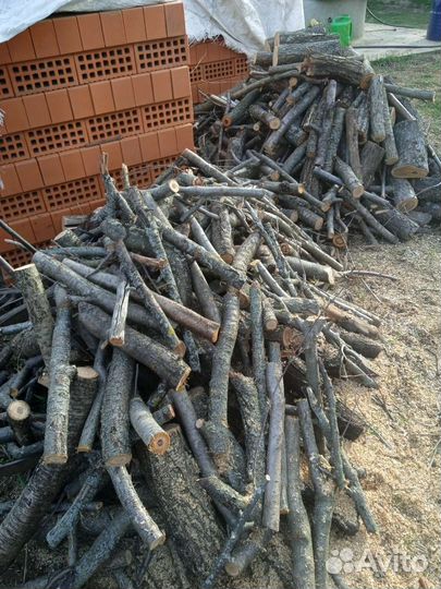 Дрова вишня,яблоня