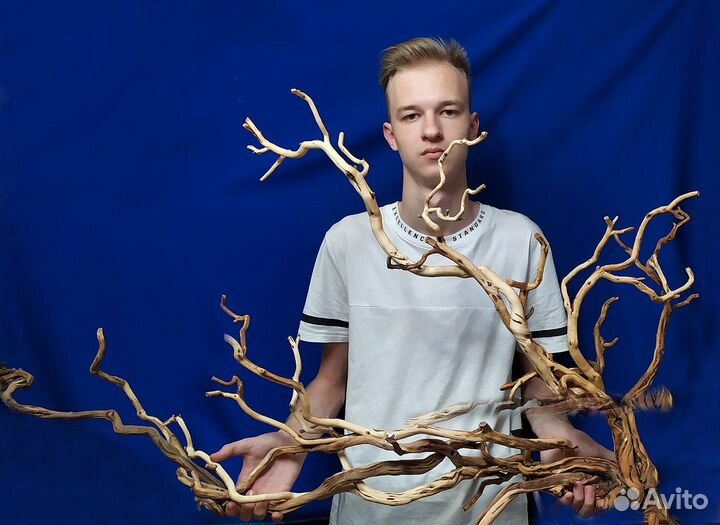 Коряги для аквариумов и террариумов