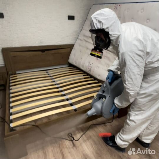 Дезинфекция Уничтожение тараканов, клопов