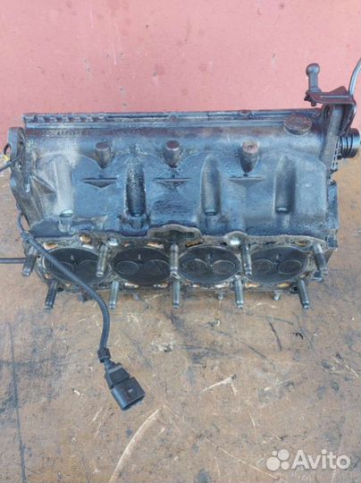 Головка блока цилиндров Volkswagen Passat B5 03810