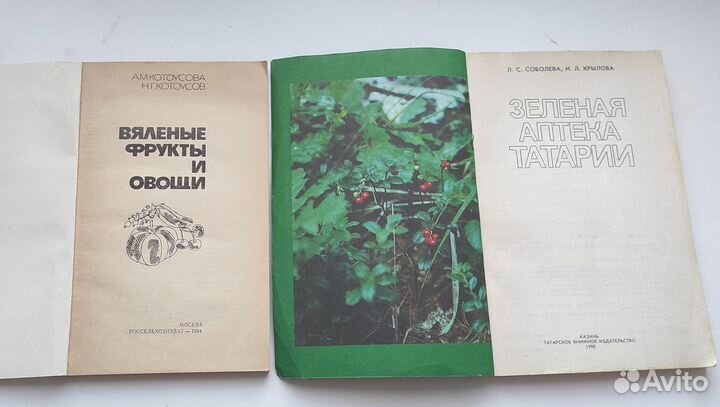 Книги СССР. Зелёная аптека Татарии. Вяленые фрукты