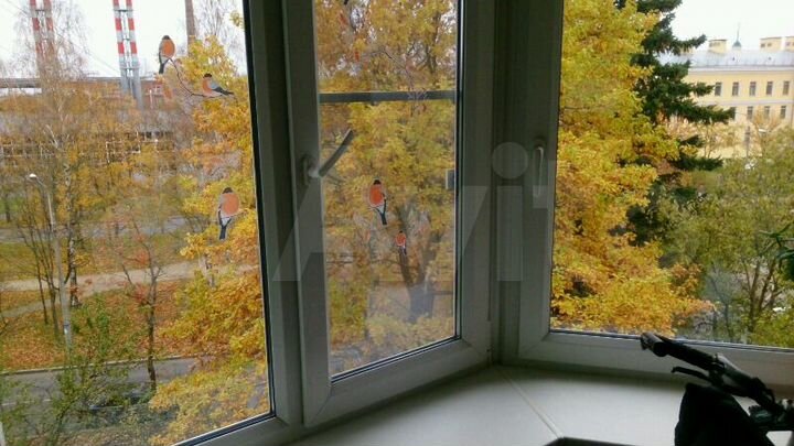 3-к. квартира, 57,3 м², 5/5 эт.