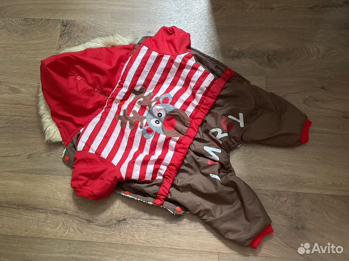 Костюмы для собаки