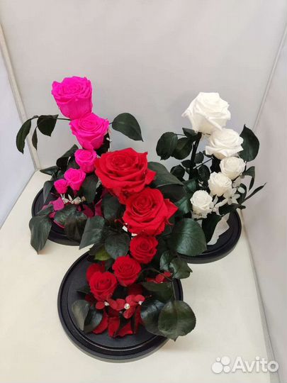 Подарок на новый год / Цветы