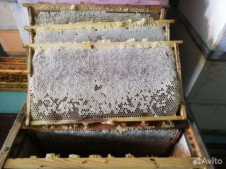 Цветочный Мёд из Цветковки