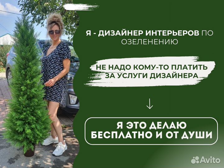 Туя Доминикана / Искусственное озеленение