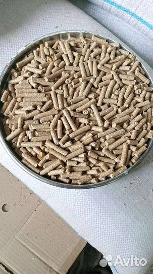 Прикормка для рыбы