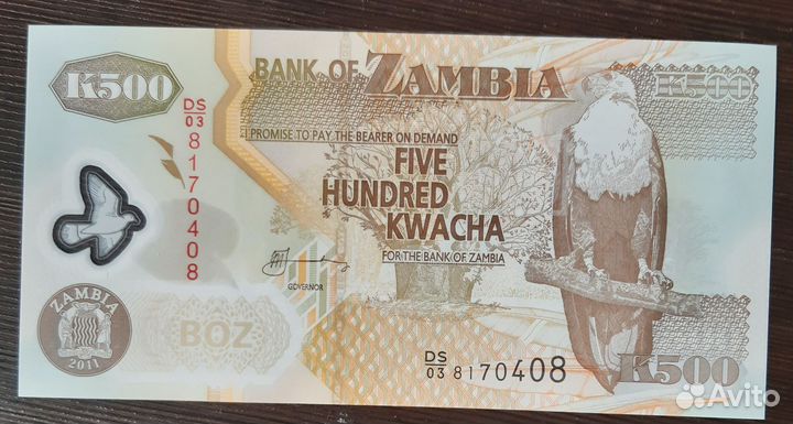 Купюры Африки, новые