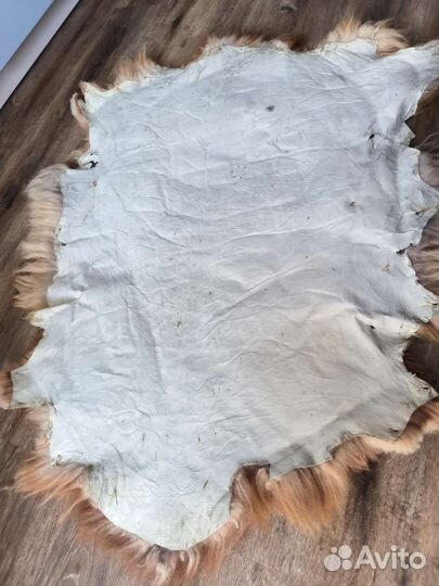 Шкура натуральная, шкура козла