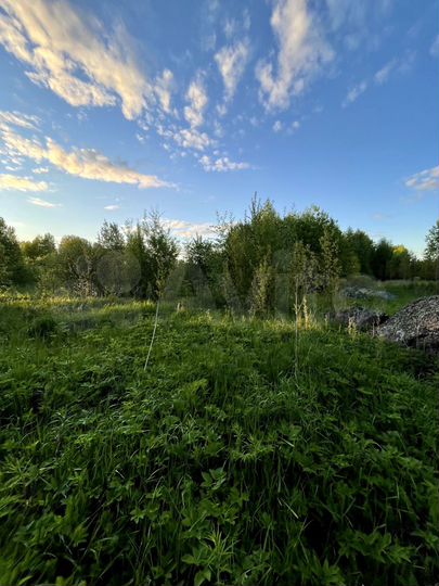 Участок 12 сот. (ИЖС)