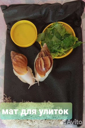 Мат(коврик) для Улиток