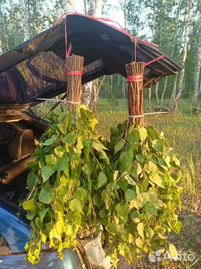 Березовые веники