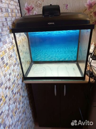 Аквариум