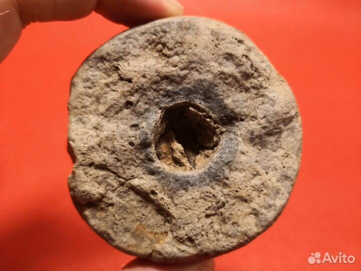 Половина сферической конкреции