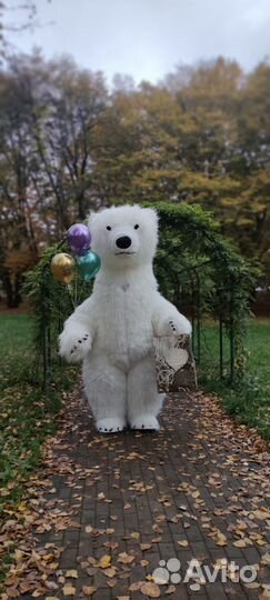 Поздравление Белого Мишки 2 метра 60 см