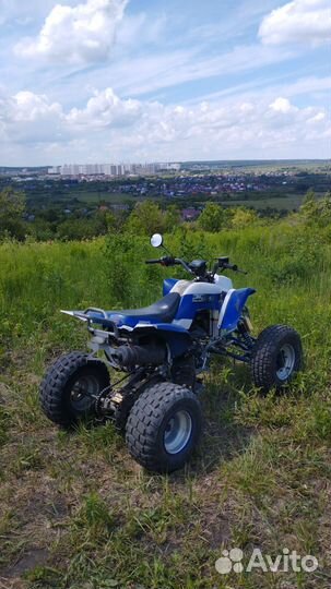 Квадрик irbis atv 250s