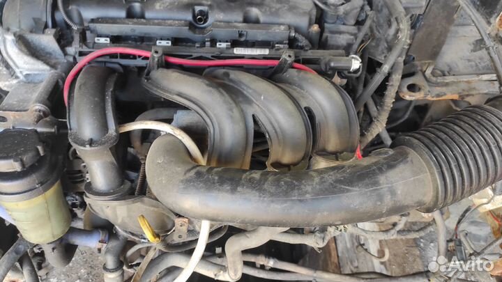 Коллектор впускной с двигателя 1.4 1,6 Fordfocus2
