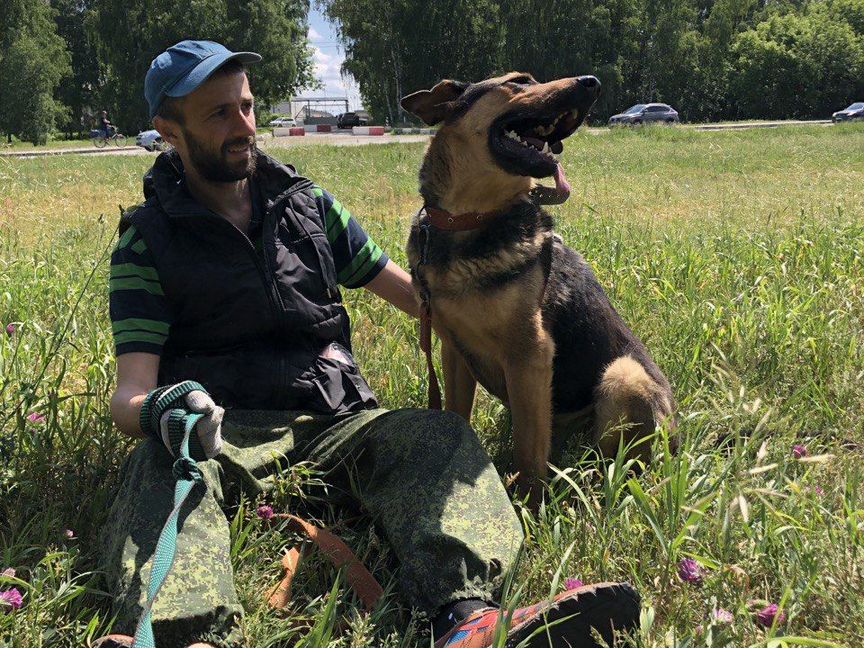 Милый пёс (собака из приюта) ищет дом