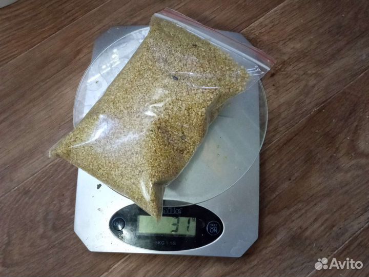 Мотыль,дафния,артемия/цисты,циклоп,сухой корм