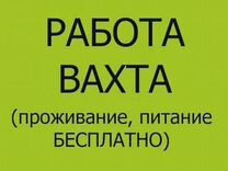 Вахта рабочие М/Ж (сем.пары)