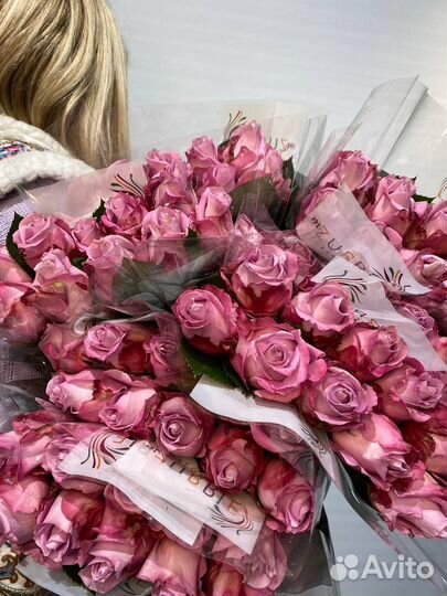 Роза Танзания 50 см оптом в Красноярске