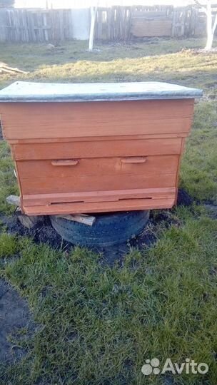 Улей с магазином