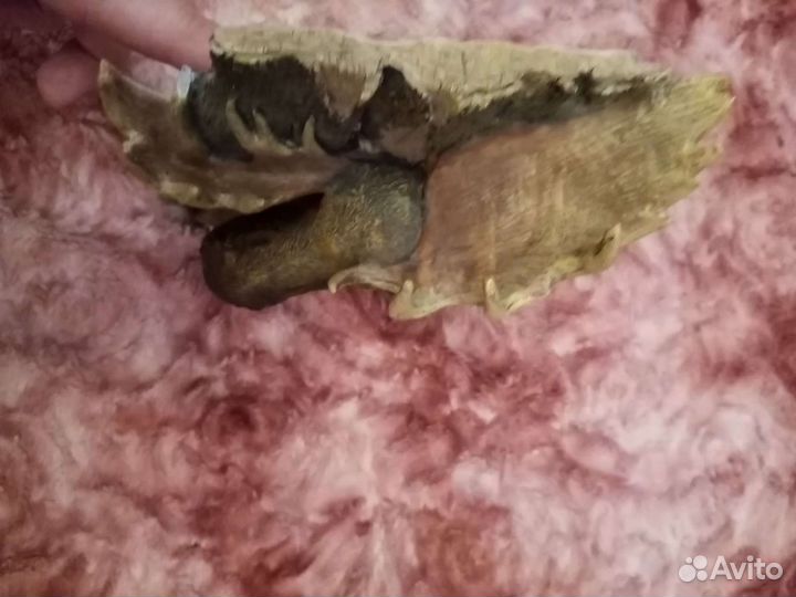 Редкая Настенная статуэтка