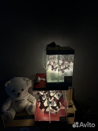 Композиции из бабочек