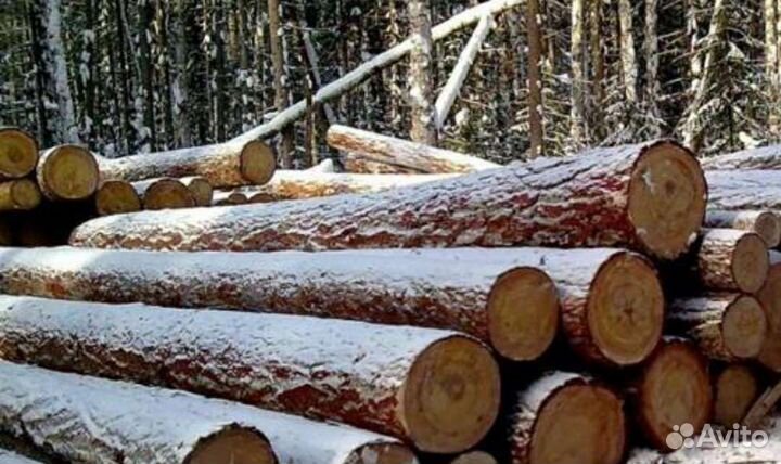 Продам лес кругляк лиственница