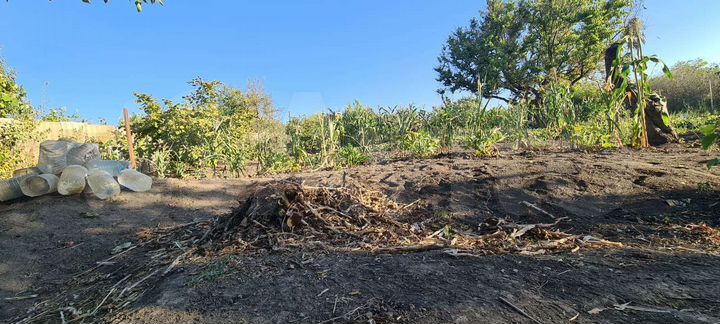 Участок 6 сот. (СНТ, ДНП)