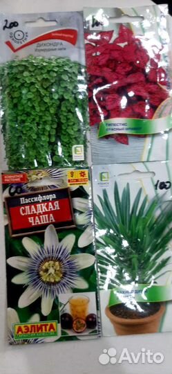 Семена комнатных цветов