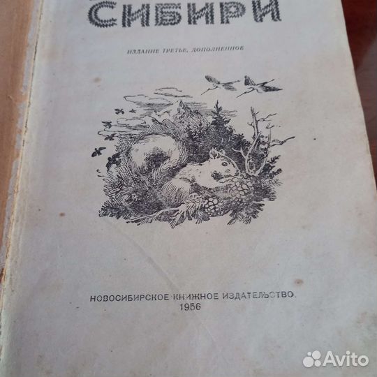 Книги для детей