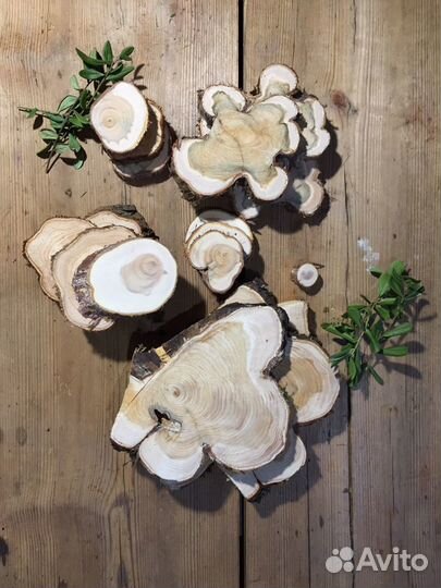 Пано из можжевельника