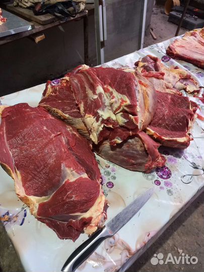 Мясо говядина и баранина