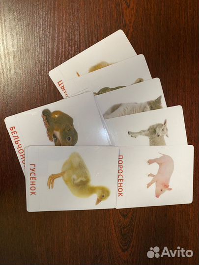 Печать фотографий, документов, распечатать