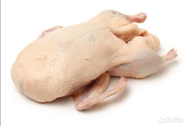Тушка бройлерной утки