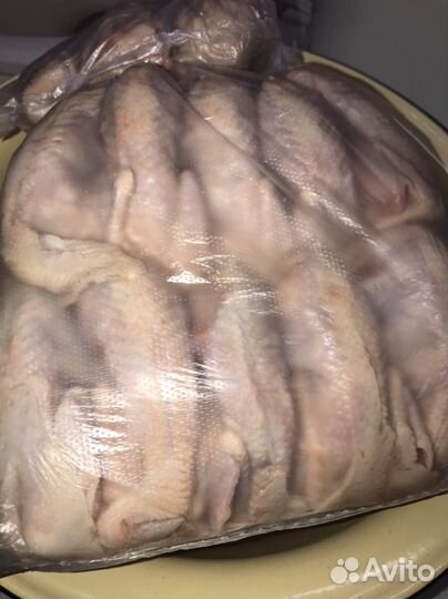 Мясо перепелов