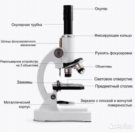 Микроскоп биологический Erudit C13