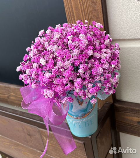 Гипсофила стаканчик