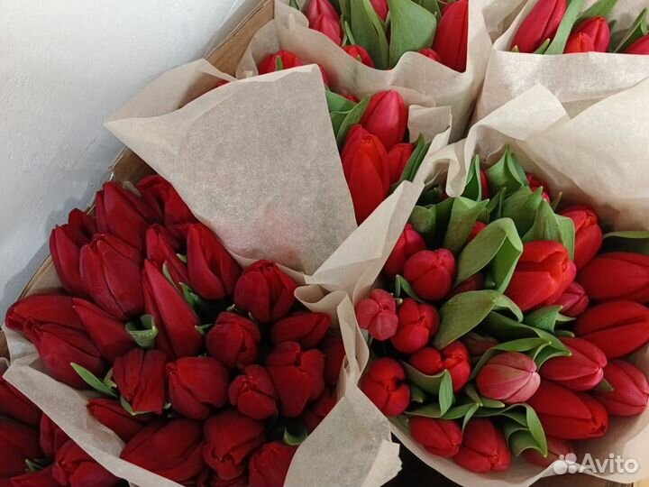 Тюльпаны к 8 марта