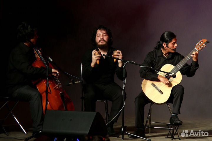 Музыканты на праздник, юбилей 