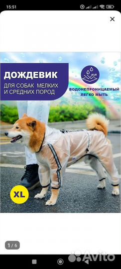 Дождевик для собаки, средней породы