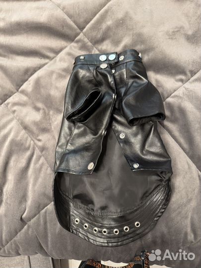 Одежда для собак мелких пород